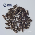 bayannaoer in chinese non gmo high quality sunflower seeds in shell